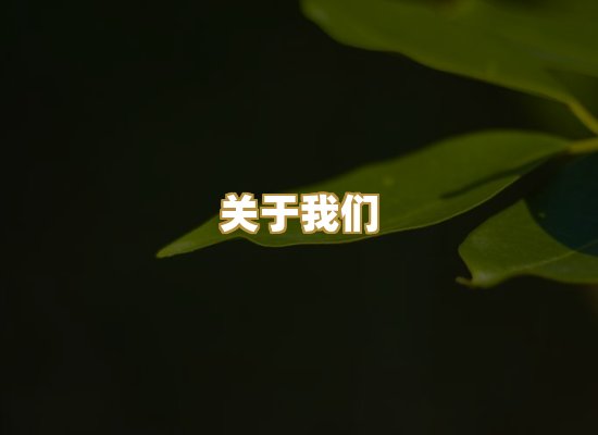关于我们